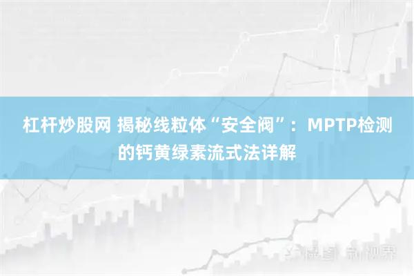 杠杆炒股网 揭秘线粒体“安全阀”：MPTP检测的钙黄绿素流式法详解